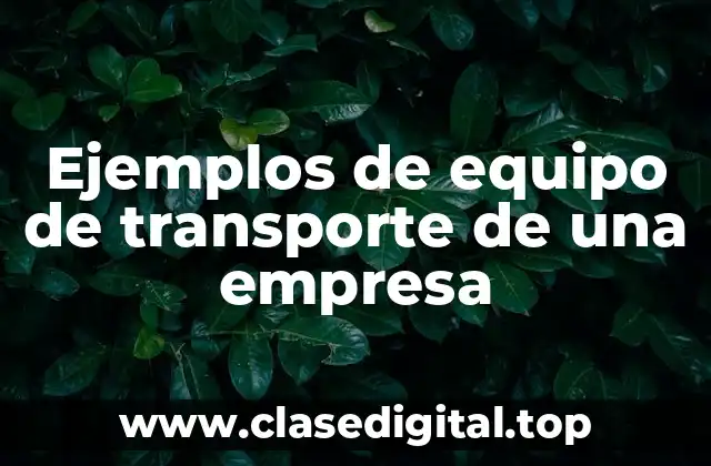 Ejemplos de equipo de transporte de una empresa