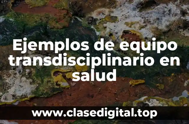 Ejemplos de equipo transdisciplinario en salud