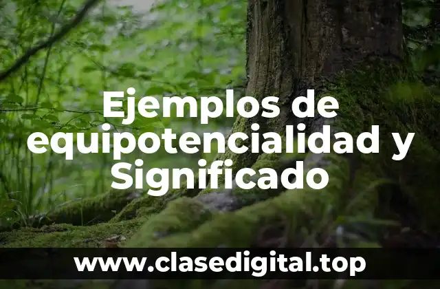 Ejemplos de equipotencialidad y Significado