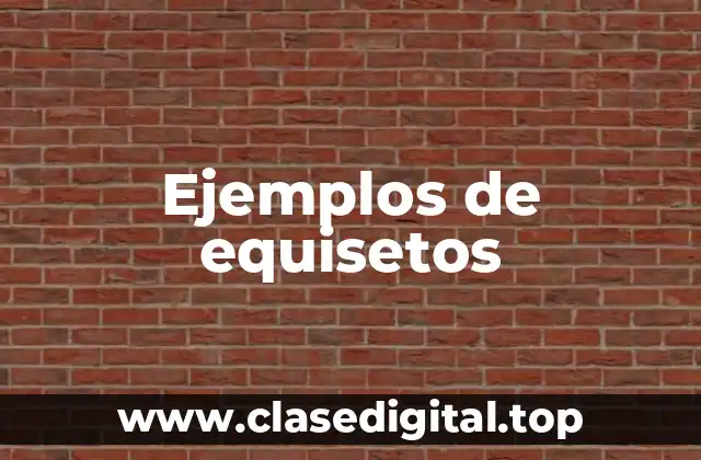 Ejemplos de equisetos