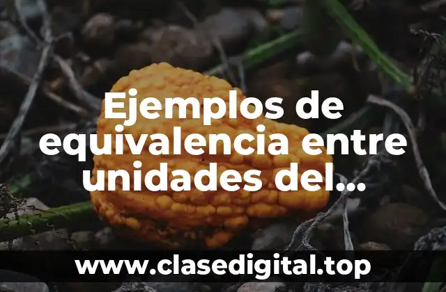 Ejemplos de equivalencia entre unidades del sistema internacional de