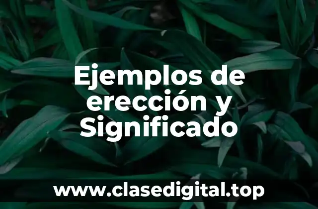 Ejemplos de erección y Significado