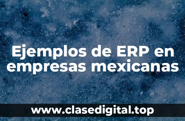 Ejemplos de ERP en empresas mexicanas