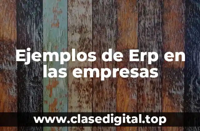 Ejemplos de Erp en las empresas