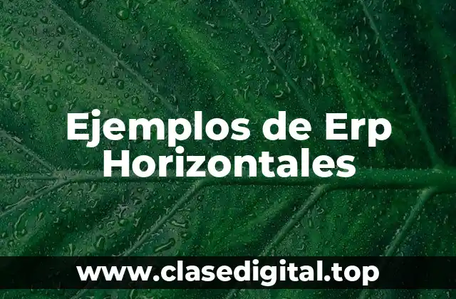 Ejemplos de Erp Horizontales
