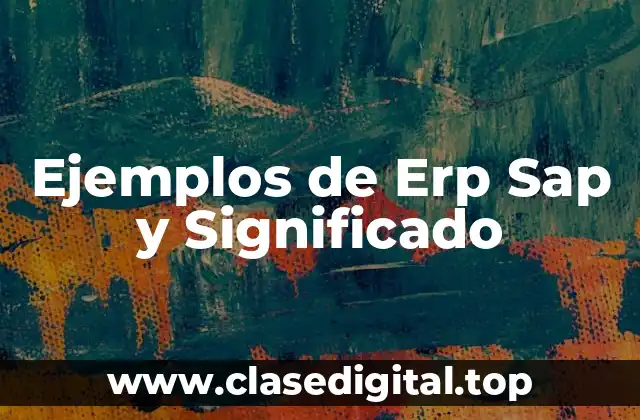 Ejemplos de Erp Sap y Significado