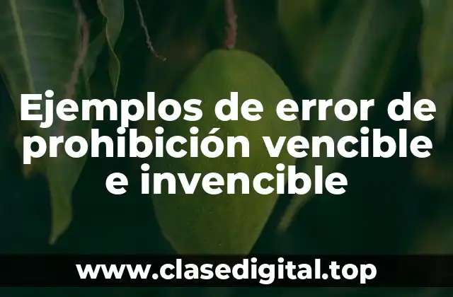 Ejemplos de error de prohibición
