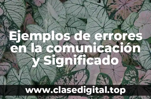 Ejemplos de errores en la comunicación