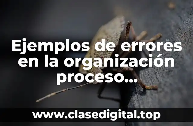 Ejemplos de errores en la organización proceso administrativo