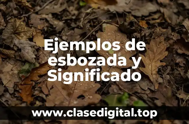 Ejemplos de esbozada y Significado