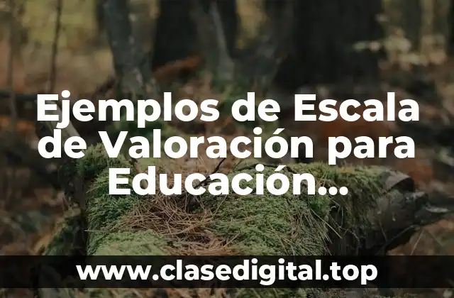 Ejemplos de Escala de Valoración para Educación Preescolar y Significado