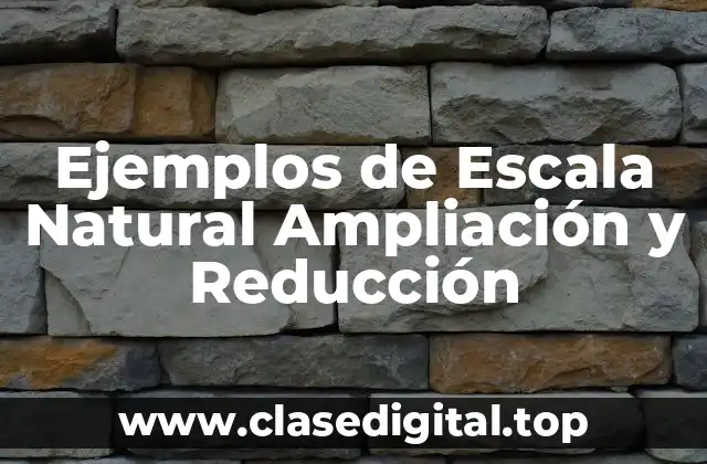 Ejemplos de Escala Natural Ampliación y Reducción