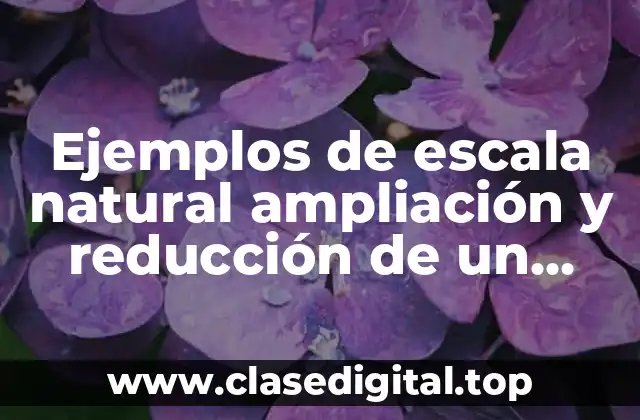 Ejemplos de escala natural ampliación y reducción de un mapa