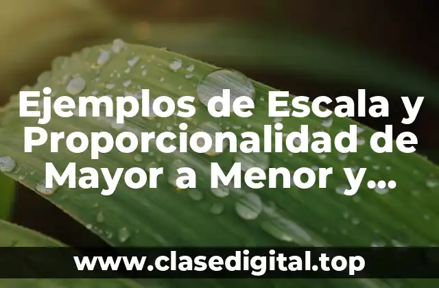 Ejemplos de Escala y Proporcionalidad de Mayor a Menor y Significado