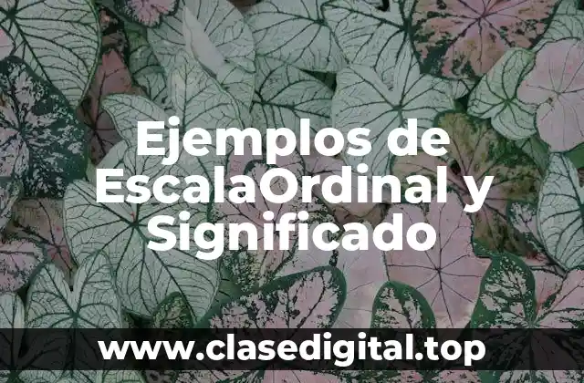 Ejemplos de EscalaOrdinal y Significado