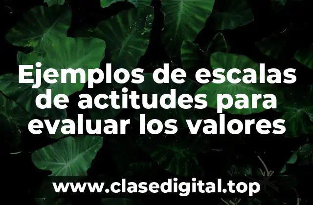 Ejemplos de escalas de actitudes para evaluar los valores