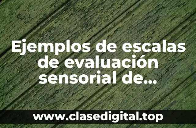 Ejemplos de escalas de evaluación sensorial de alimentos