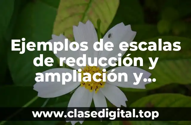 Ejemplos de escalas de reducción y ampliación y Significado