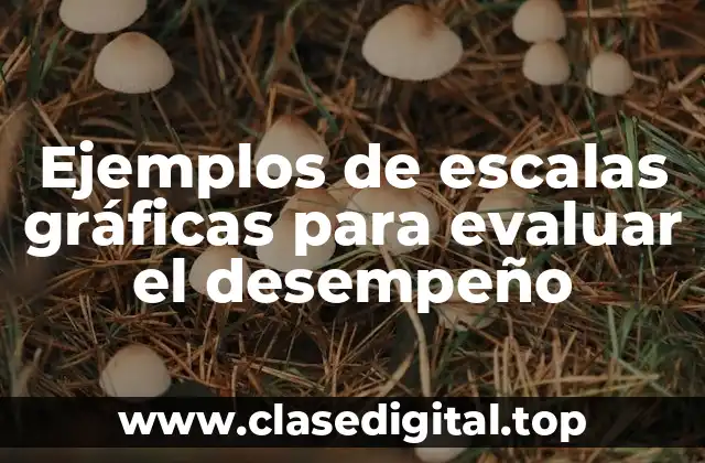 Ejemplos de escalas gráficas para evaluar el desempeño