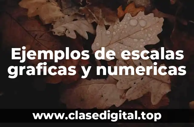 Ejemplos de escalas graficas y numericas