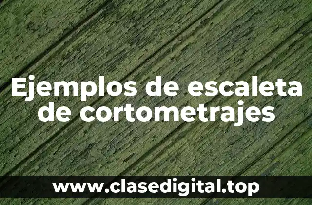 Ejemplos de escaleta de cortometrajes