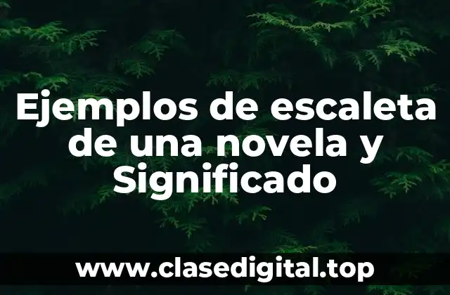 Ejemplos de escaleta de una novela