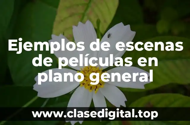 Ejemplos de escenas de películas en plano general
