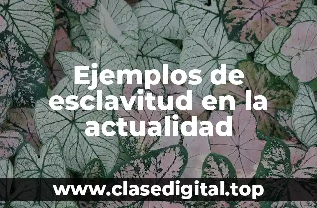 Ejemplos de esclavitud en la actualidad