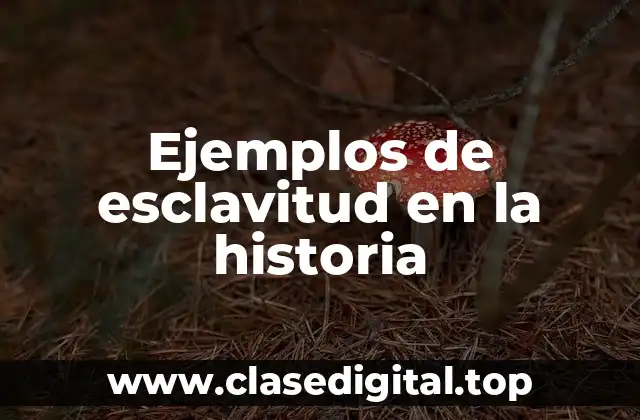 Ejemplos de esclavitud en la historia