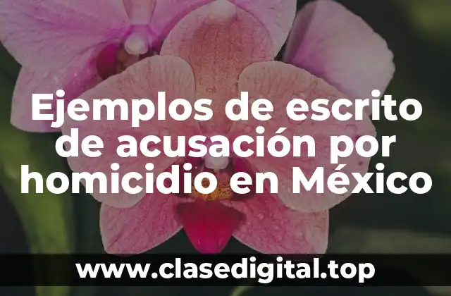 Ejemplos de escrito de acusación por homicidio en México
