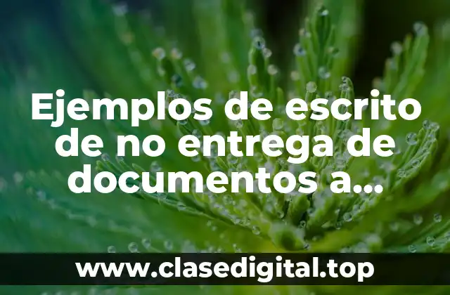 Ejemplos de escrito de no entrega de documentos a tiempo