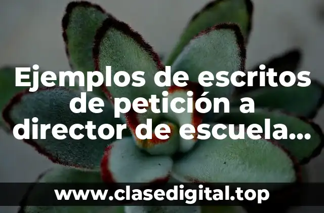 Ejemplos de escritos de petición a director de escuela primaria: