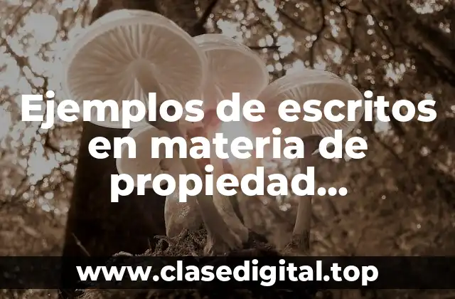 Ejemplos de escritos en materia de propiedad intelectual