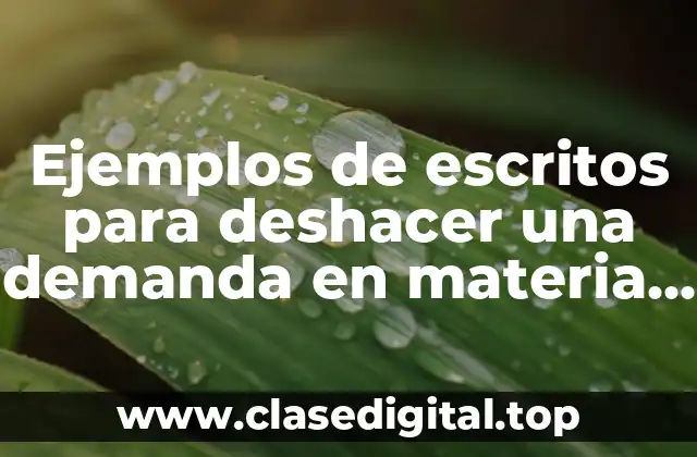 Ejemplos de escritos para deshacer una demanda en materia agraria