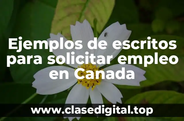 Ejemplos de escritos para solicitar empleo en Canada