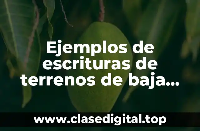 Ejemplos de escrituras de terrenos de baja california