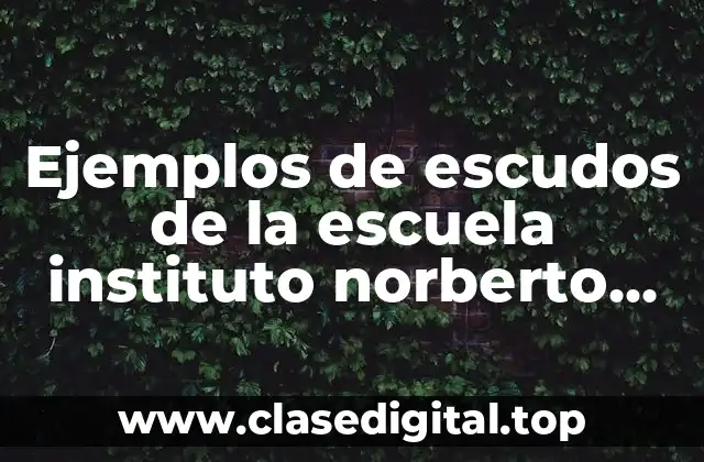 Ejemplos de escudos de la escuela instituto norberto lozano