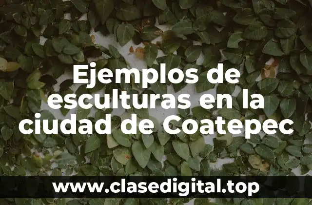 Ejemplos de esculturas en la ciudad de Coatepec
