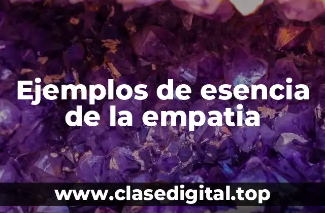 Ejemplos de esencia de la empatia