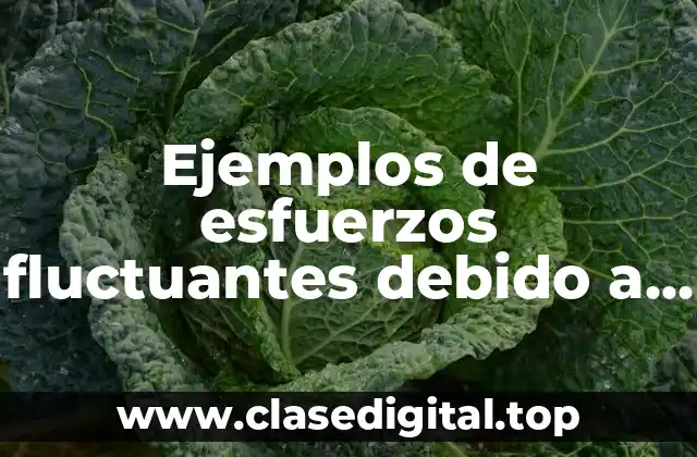 Ejemplos de esfuerzos fluctuantes debido a la fatiga y Significado