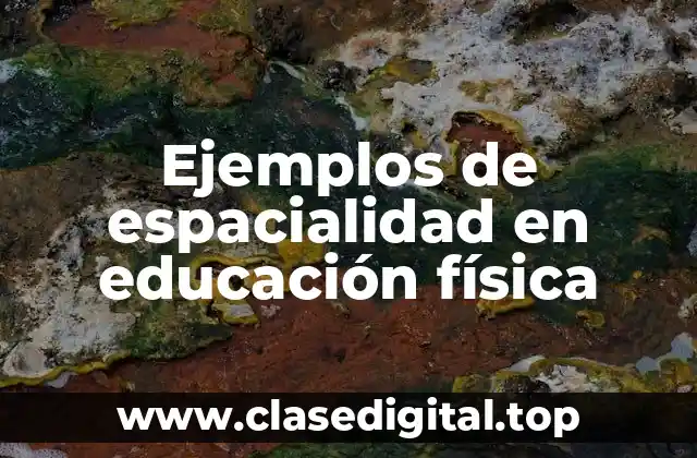 Ejemplos de espacialidad en educación física
