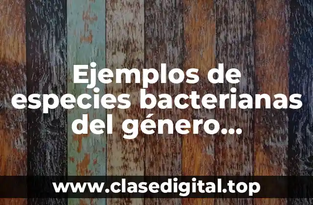 Ejemplos de especies bacterianas del género Mycobacterium y Nocardia