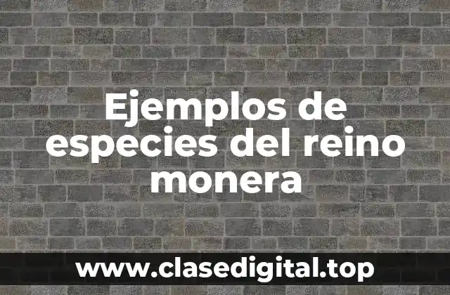 Ejemplos de especies del reino monera