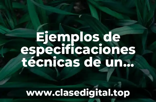 Ejemplos de especificaciones técnicas de un proyecto y Significado