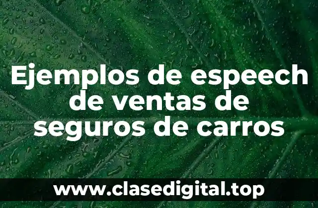 Ejemplos de espeech de ventas de seguros de carros