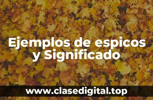 Ejemplos de espicos y Significado