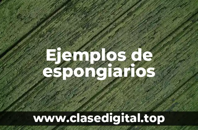 Ejemplos de espongiarios