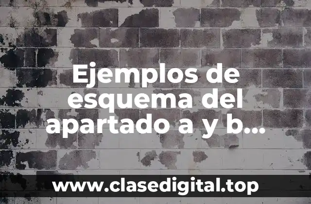 Ejemplos de esquema del apartado a y b constitucional