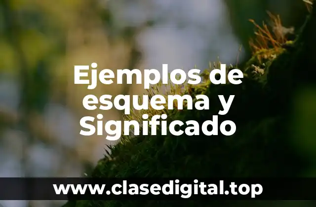 Ejemplos de esquema y Significado