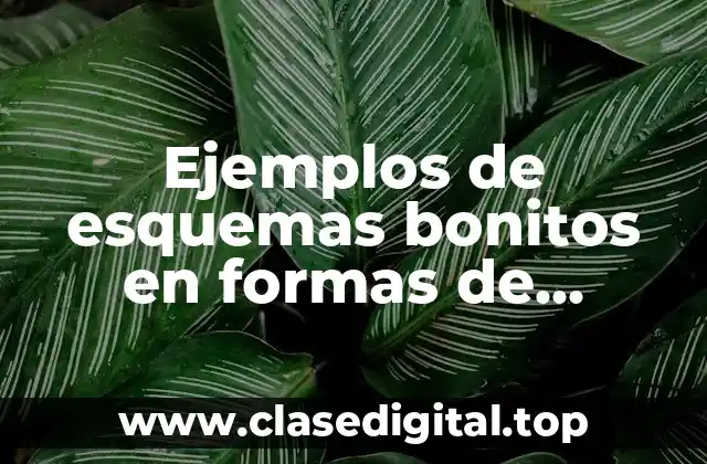 Ejemplos de esquemas bonitos en formas de animales y Significado